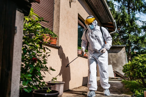 Best Pest Control for Restaurants  in South Barre, VT