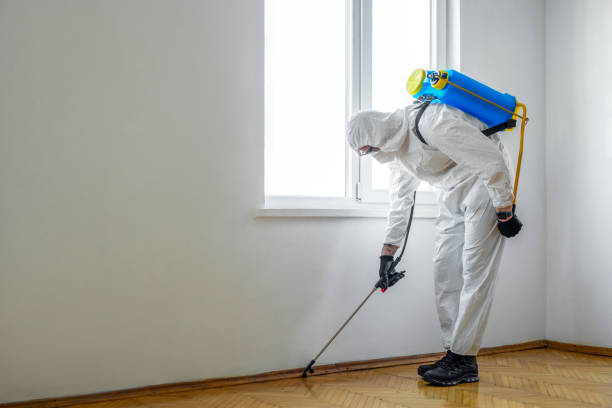 Best Pest Removal Services  in South Barre, VT