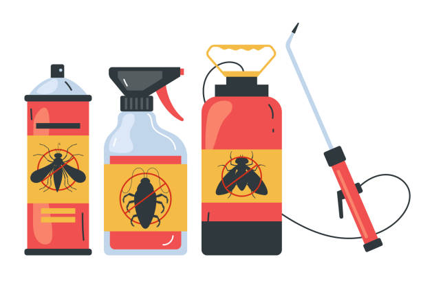 Best Bed Bug Extermination  in South Barre, VT