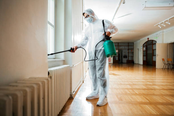 Best Local Pest Control Services  in South Barre, VT